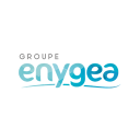 enygea